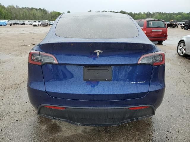 2024 Tesla Model Y