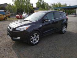 Salvage cars for sale at Anchorage, AK auction: 2013 Ford Escape SEL