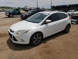 Salvage cars for sale at Colorado Springs, CO auction: 2014 Ford Focus SE
