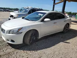 Salvage cars for sale at Tanner, AL auction: 2014 Nissan Maxima S