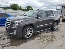 Salvage cars for sale at Lebanon, TN auction: 2016 Cadillac Escalade Premium