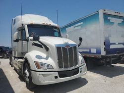 Salvage trucks for sale at Homestead, FL auction: 2023 Peterbilt 579