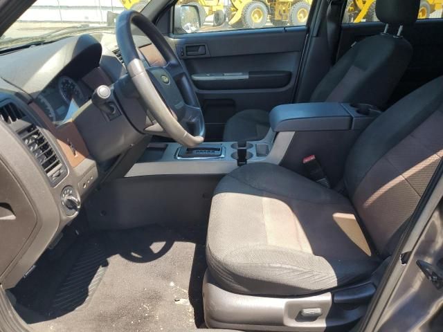 2008 Ford Escape XLT