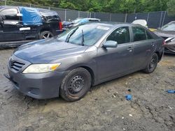 Salvage cars for sale from Copart Waldorf, MD: 2010 Toyota Camry Base