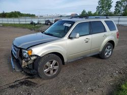 Salvage cars for sale at Columbia Station, OH auction: 2010 Ford Escape Limited