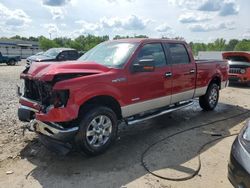 Salvage cars for sale at Louisville, KY auction: 2013 Ford F150 Supercrew