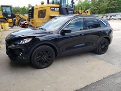 Salvage cars for sale at Mendon, MA auction: 2020 Ford Escape SEL