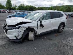 Salvage cars for sale at Grantville, PA auction: 2023 Honda CR-V EX