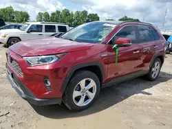 Toyota salvage cars for sale: 2020 Toyota Rav4 Limited