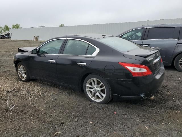 2010 Nissan Maxima S