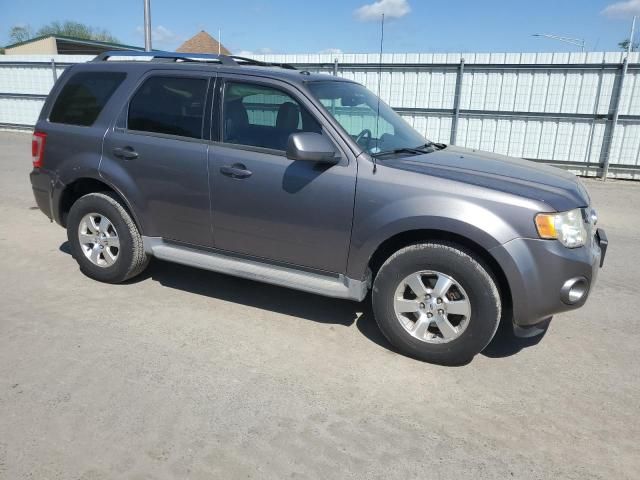 2010 Ford Escape Limited