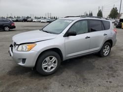 Salvage cars for sale from Copart Rancho Cucamonga, CA: 2010 Toyota Rav4