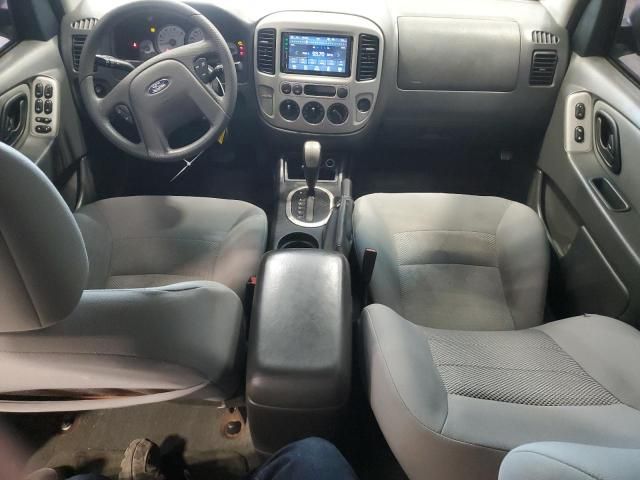 2006 Ford Escape XLT