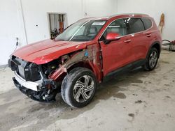 Salvage cars for sale at Madisonville, TN auction: 2023 Hyundai Santa FE SEL
