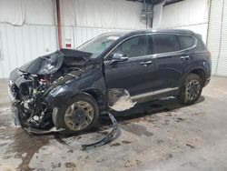 Hyundai Santa fe salvage cars for sale: 2023 Hyundai Santa FE Blue