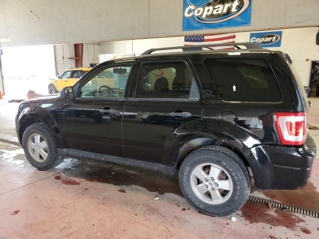 2010 Ford Escape XLT