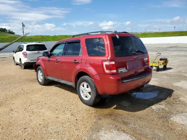 2012 Ford Escape XLT