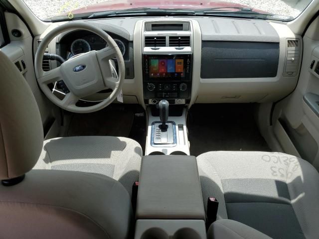 2008 Ford Escape XLT