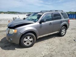 Salvage cars for sale from Copart Spartanburg, SC: 2009 Ford Escape XLT