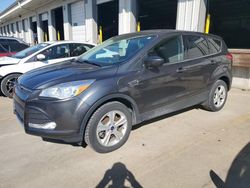 Salvage cars for sale at Louisville, KY auction: 2016 Ford Escape SE