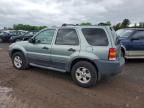 2007 Ford Escape XLT