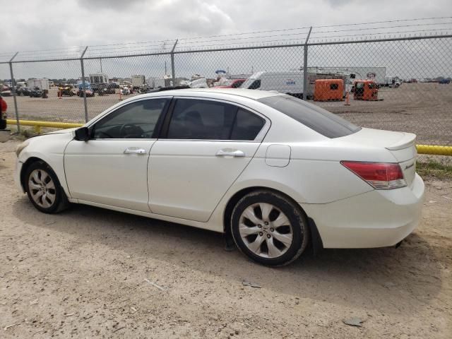 2010 Honda Accord EXL