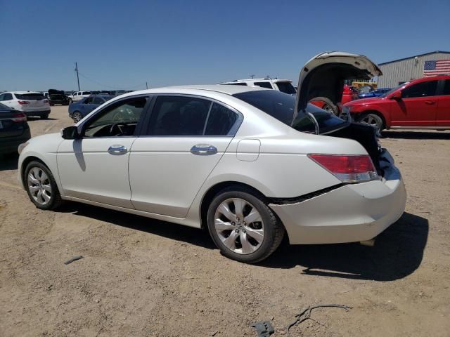 2010 Honda Accord EXL