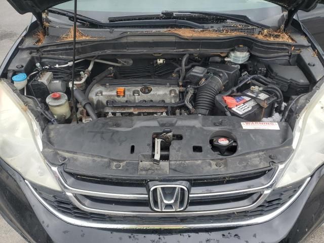 2010 Honda CR-V EXL