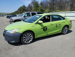 Salvage cars for sale at Brookhaven, NY auction: 2016 Toyota Camry Hybrid
