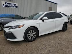 Salvage cars for sale at Mercedes, TX auction: 2021 Toyota Camry LE
