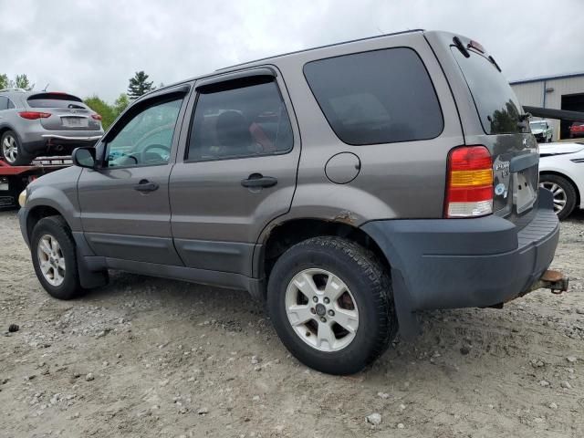 2005 Ford Escape XLT