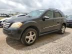 2008 Mercedes-Benz ML 350