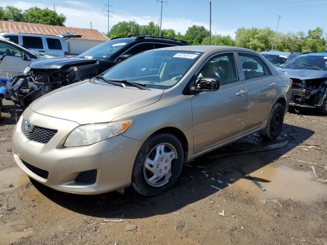 2010 Toyota Corolla Base