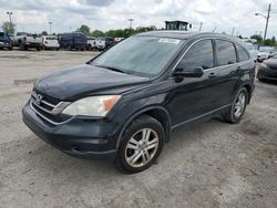 Salvage cars for sale at Indianapolis, IN auction: 2011 Honda CR-V EXL