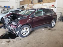 Salvage cars for sale at Ham Lake, MN auction: 2019 Ford Edge SEL