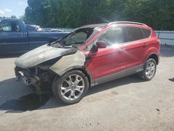 Vehiculos salvage en venta de Copart Glassboro, NJ: 2014 Ford Escape SE