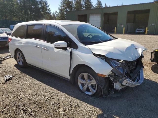 2019 Honda Odyssey EXL