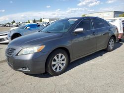 Salvage cars for sale at Bakersfield, CA auction: 2009 Toyota Camry SE