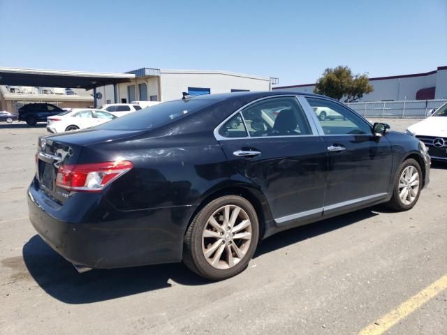 2010 Lexus ES 350