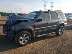 Salvage cars for sale from Copart Elgin, IL: 2006 Ford Escape XLT