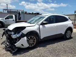 Ford salvage cars for sale: 2022 Ford Escape SE