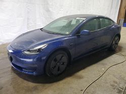 Salvage cars for sale at Glassboro, NJ auction: 2023 Tesla Model 3