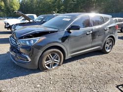 Salvage cars for sale from Copart Graham, WA: 2017 Hyundai Santa FE Sport