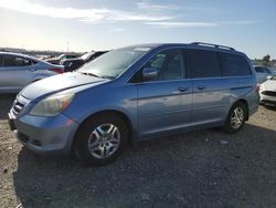 Salvage cars for sale at Antelope, CA auction: 2006 Honda Odyssey EXL