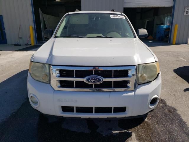 2008 Ford Escape XLT