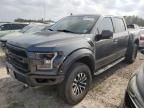 2019 Ford F150 Raptor