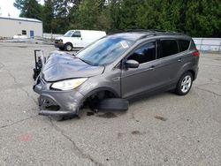 Ford salvage cars for sale: 2013 Ford Escape SE