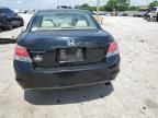 2010 Honda Accord LXP