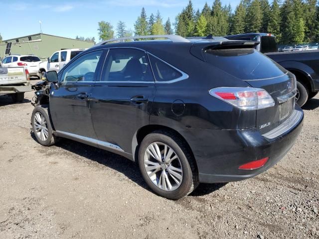 2010 Lexus RX 450