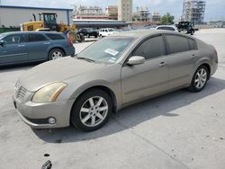 Salvage cars for sale from Copart New Orleans, LA: 2006 Nissan Maxima SE